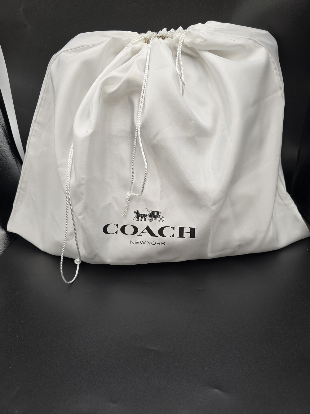 COACH Large White Drawstring Dust Bag Storage 24"x18"